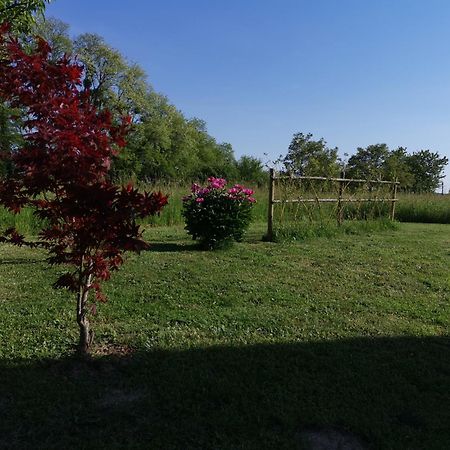 La Ferme De La Terve Bed & Breakfast Bruailles Dış mekan fotoğraf