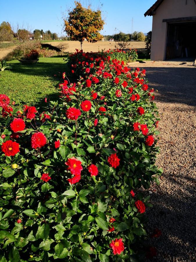 La Ferme De La Terve Bed & Breakfast Bruailles Dış mekan fotoğraf