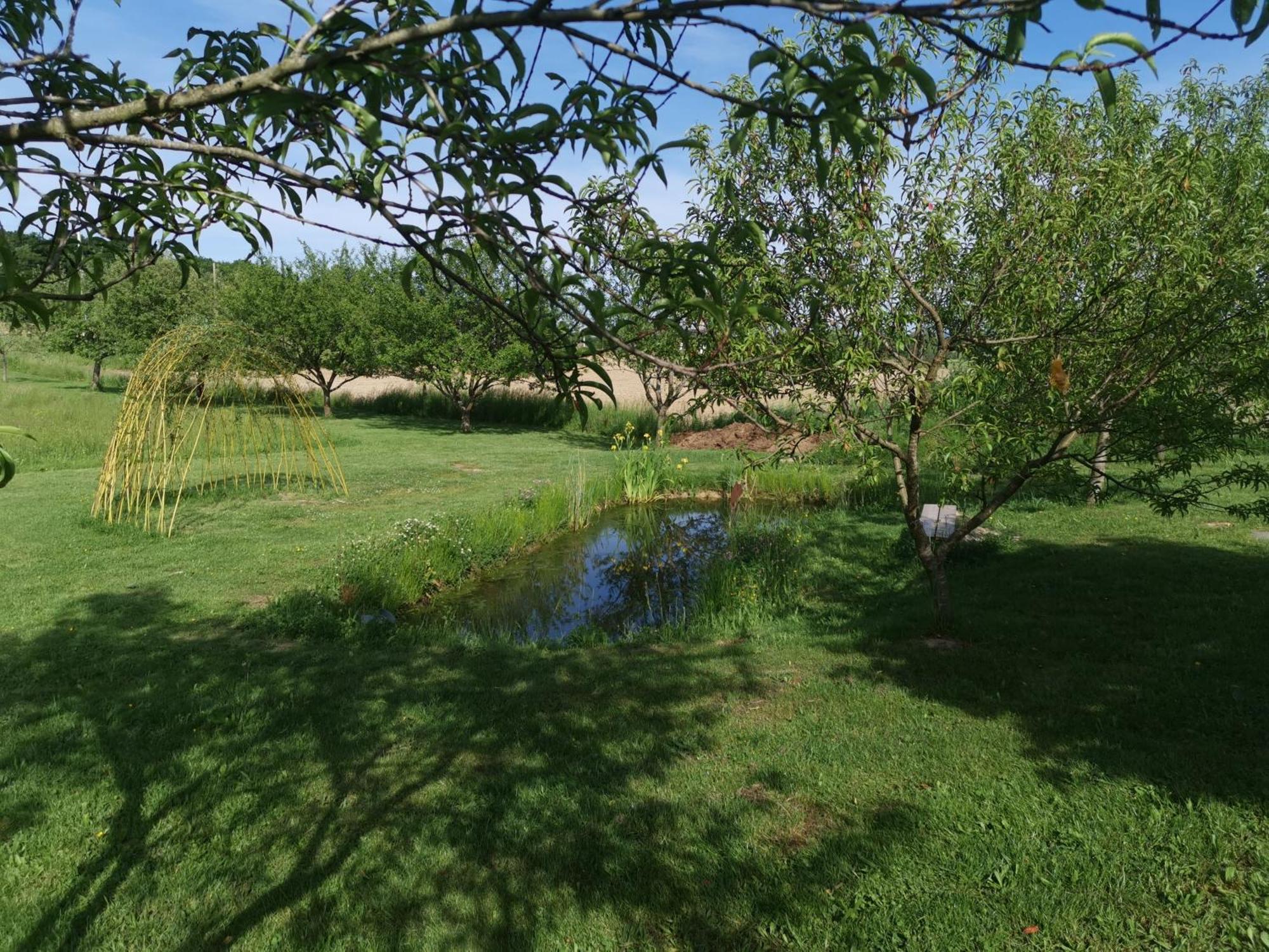 La Ferme De La Terve Bed & Breakfast Bruailles Dış mekan fotoğraf
